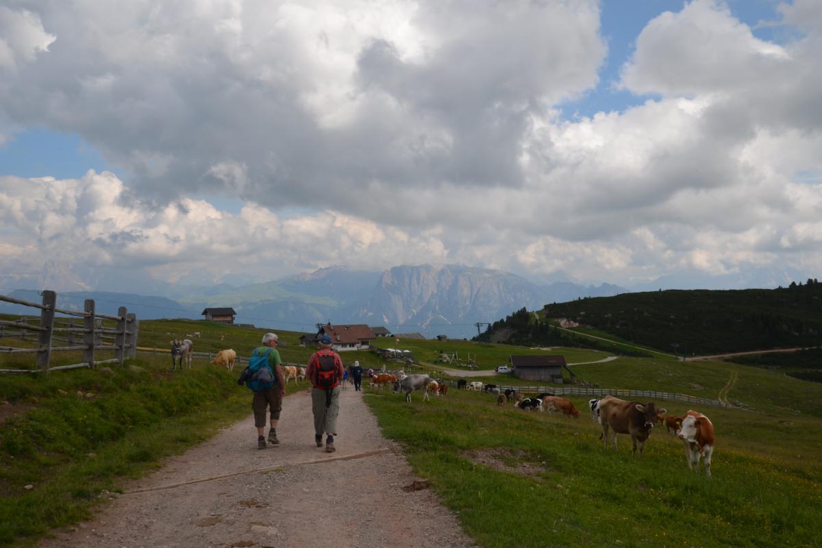 Latschenoelbrennerei und Platzer Alm 09.07.2019